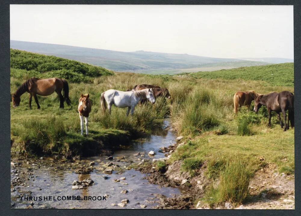 An image from the Dartmoor Trust Archive