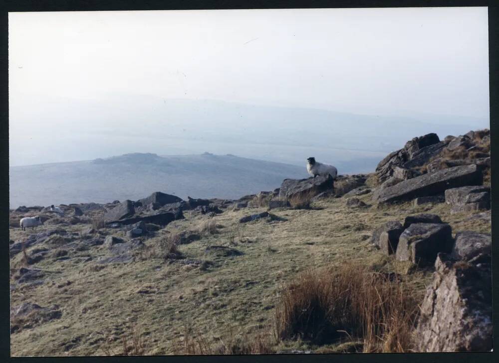 An image from the Dartmoor Trust Archive