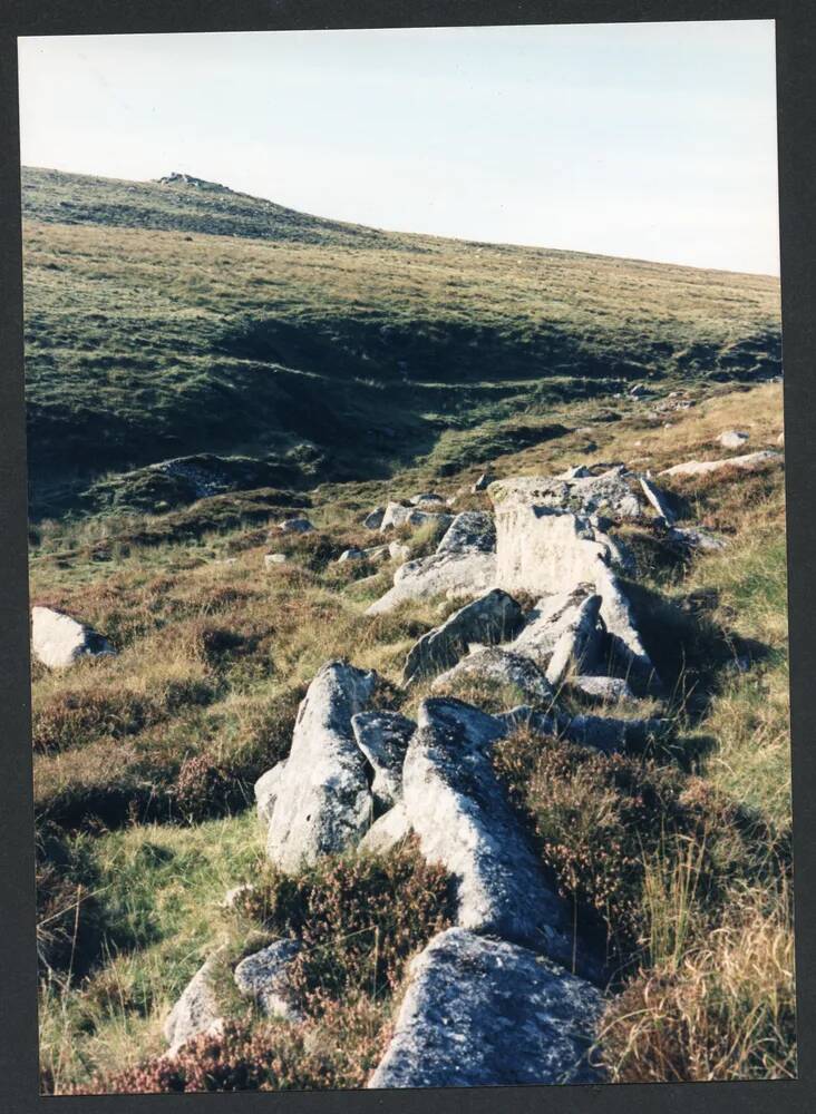 An image from the Dartmoor Trust Archive