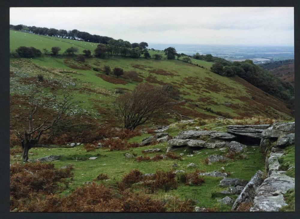 An image from the Dartmoor Trust Archive