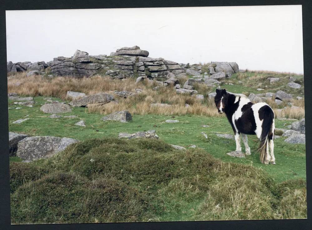 An image from the Dartmoor Trust Archive