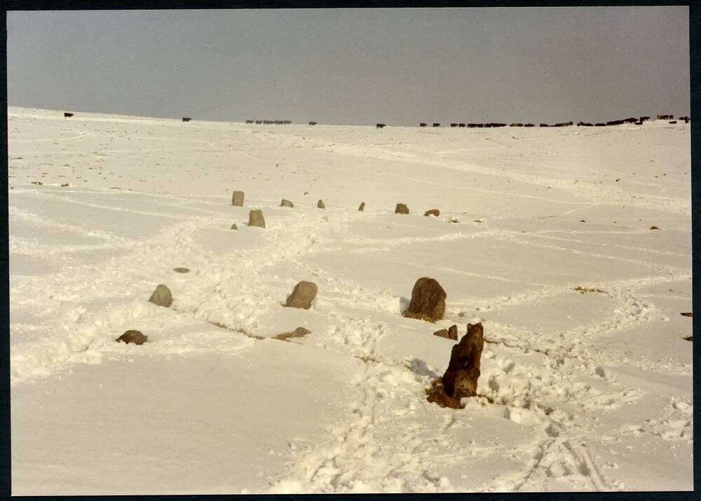 An image from the Dartmoor Trust Archive