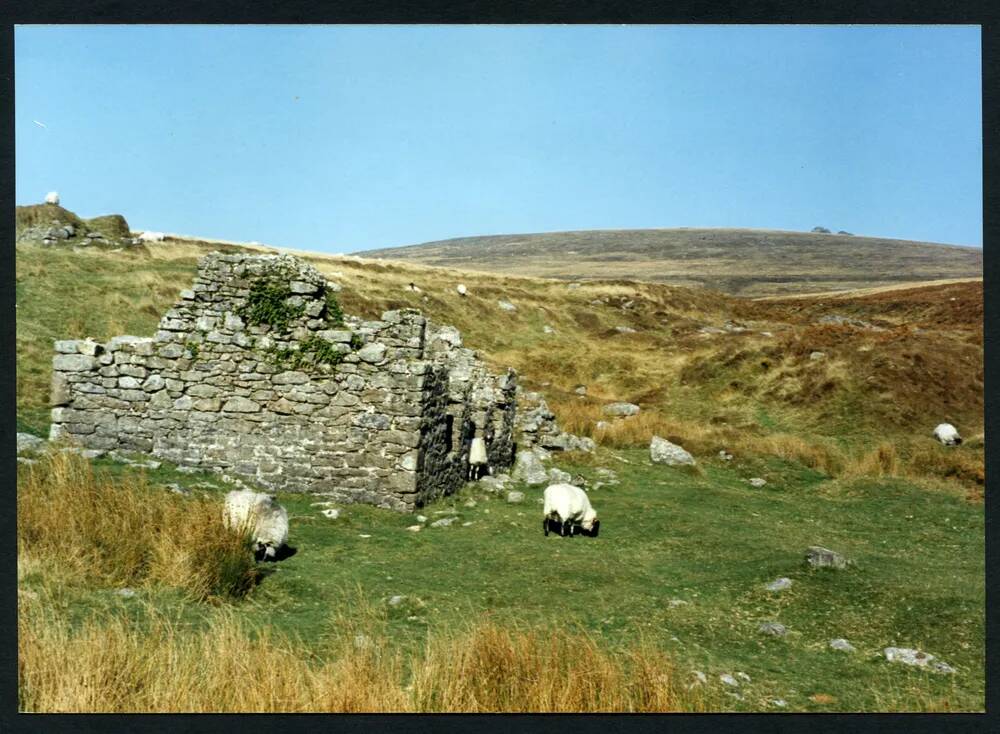 An image from the Dartmoor Trust Archive