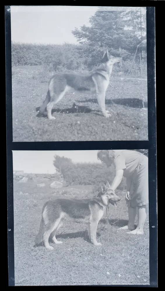 An image from the Dartmoor Trust Archive