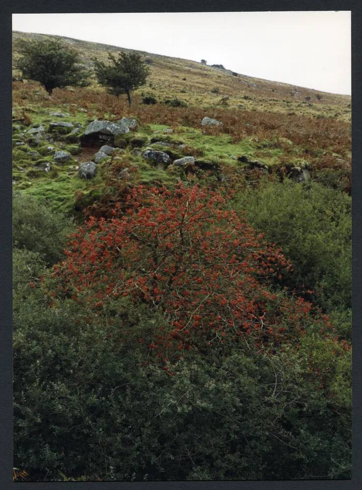 An image from the Dartmoor Trust Archive