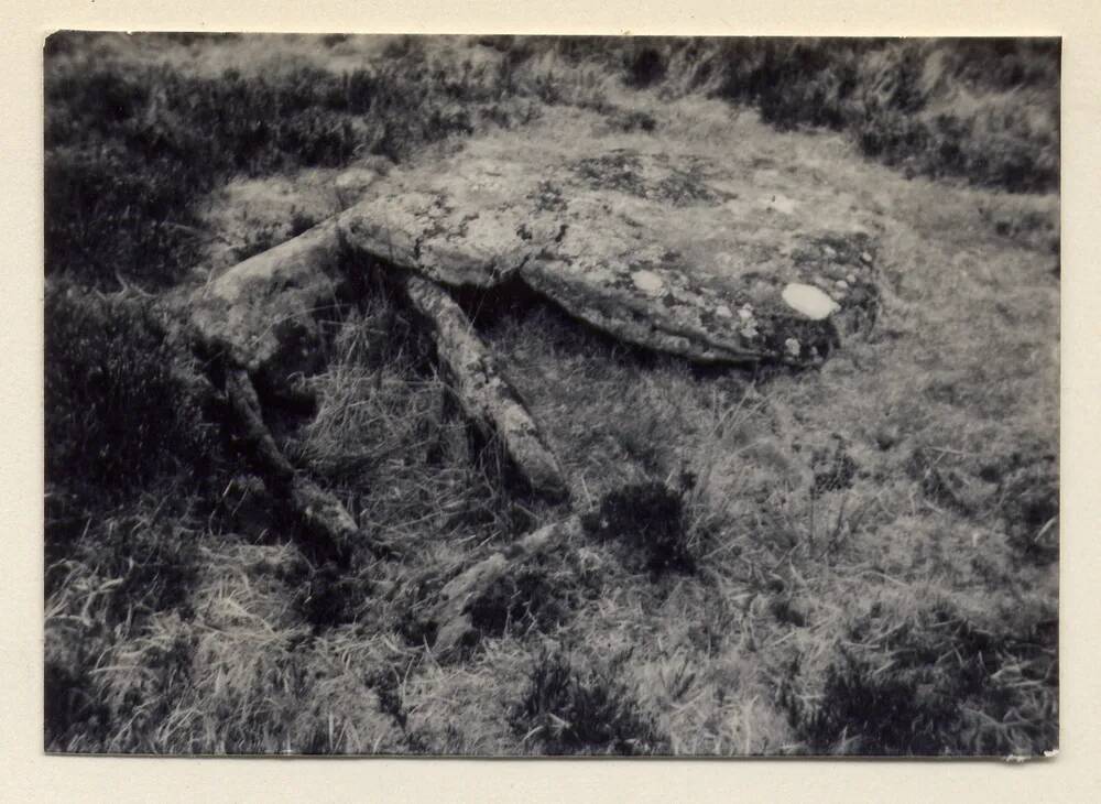 An image from the Dartmoor Trust Archive