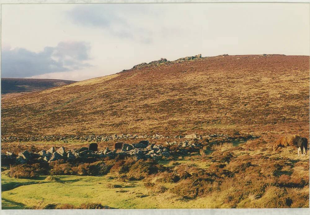 An image from the Dartmoor Trust Archive