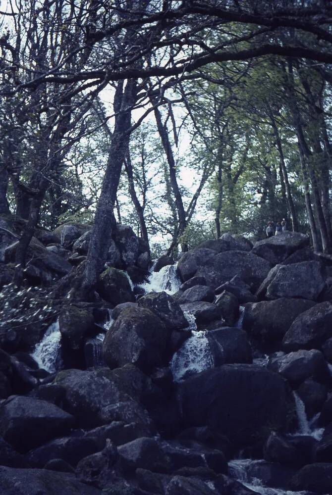 An image from the Dartmoor Trust Archive