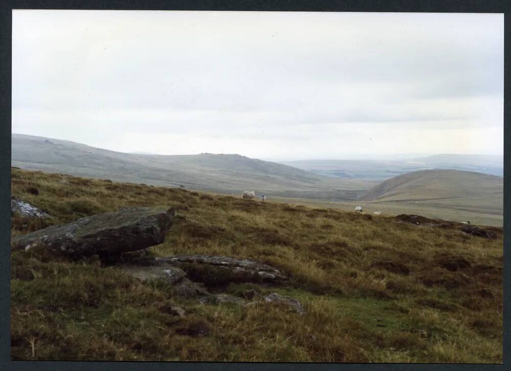 An image from the Dartmoor Trust Archive