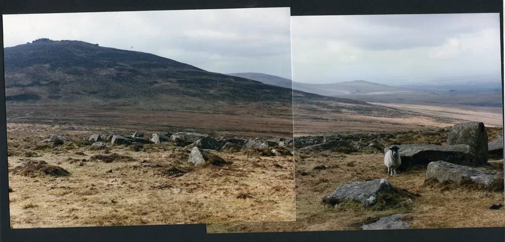 An image from the Dartmoor Trust Archive