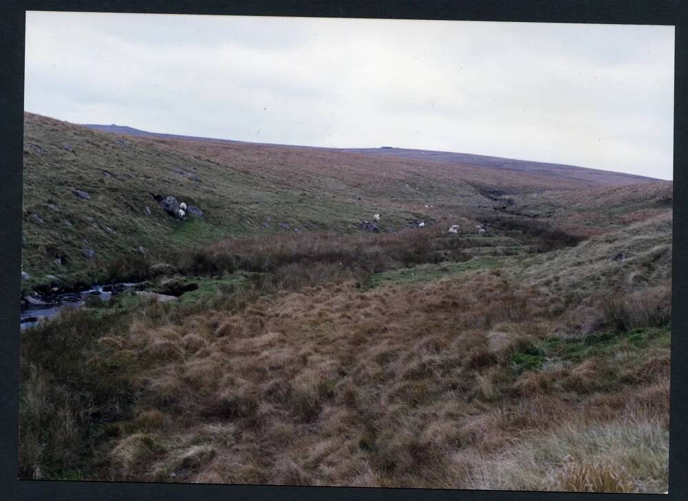 An image from the Dartmoor Trust Archive