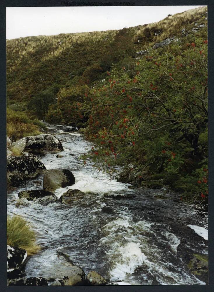 An image from the Dartmoor Trust Archive