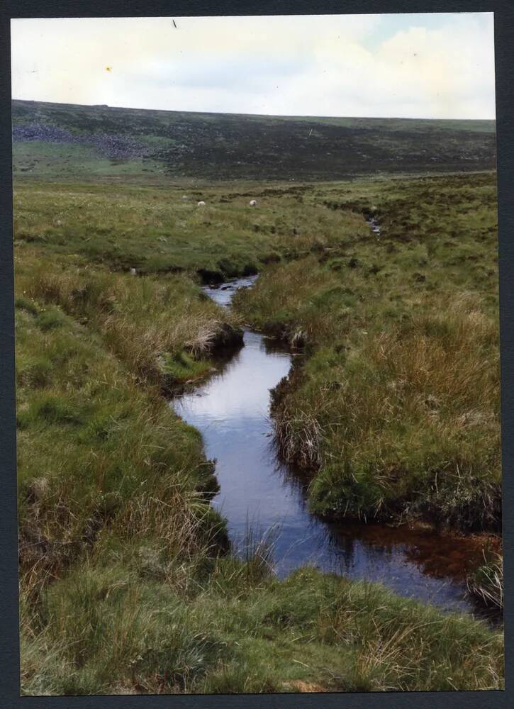 An image from the Dartmoor Trust Archive