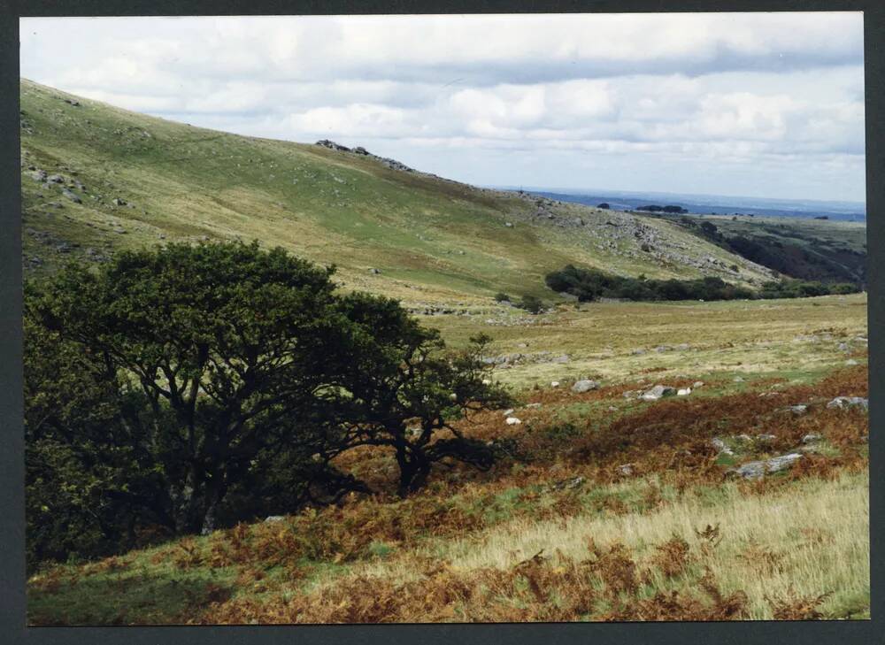 An image from the Dartmoor Trust Archive