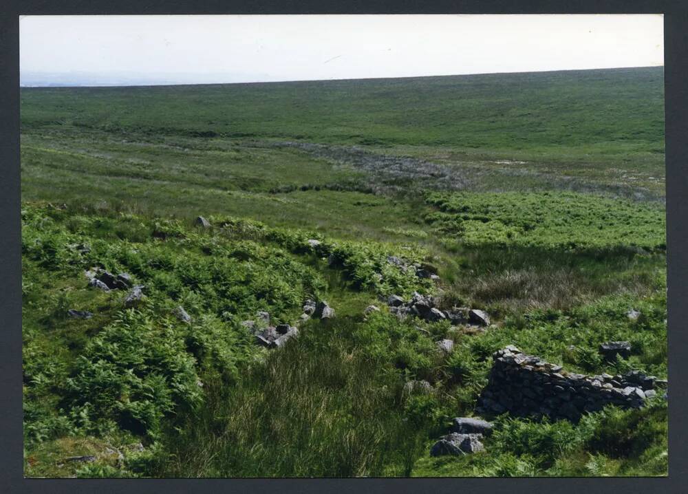 An image from the Dartmoor Trust Archive