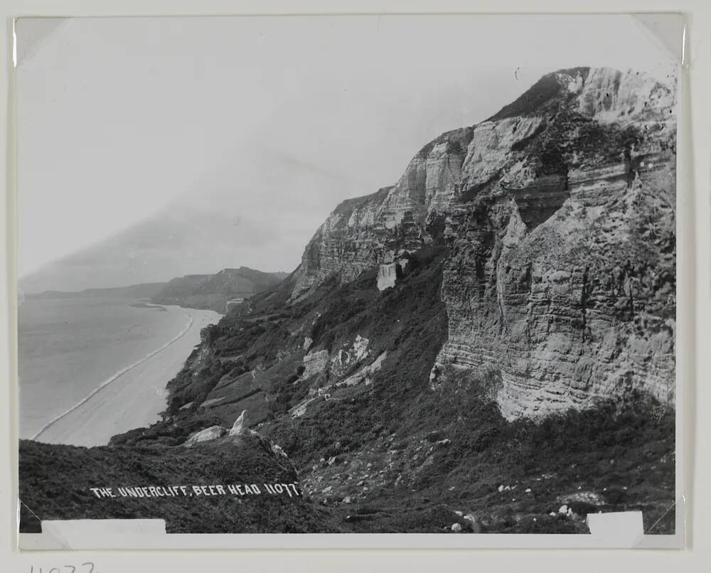 The Undercliff at Beer