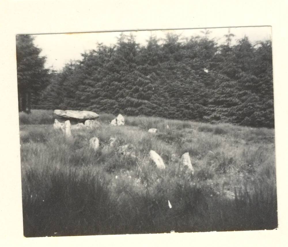 An image from the Dartmoor Trust Archive