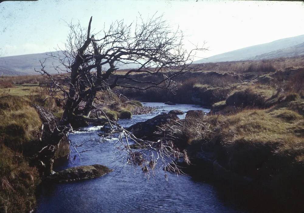 An image from the Dartmoor Trust Archive