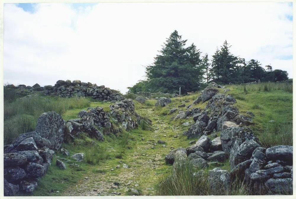 An image from the Dartmoor Trust Archive