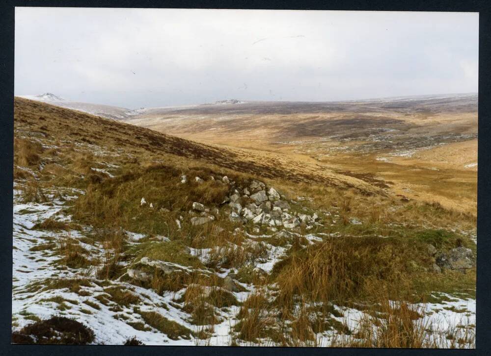 An image from the Dartmoor Trust Archive