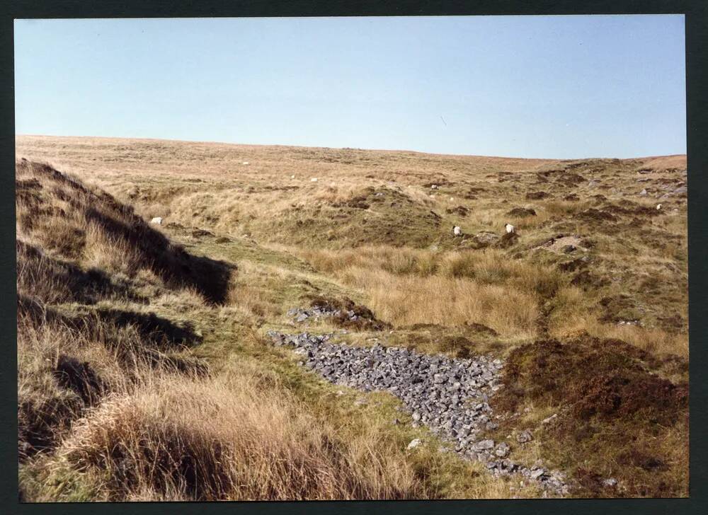 An image from the Dartmoor Trust Archive