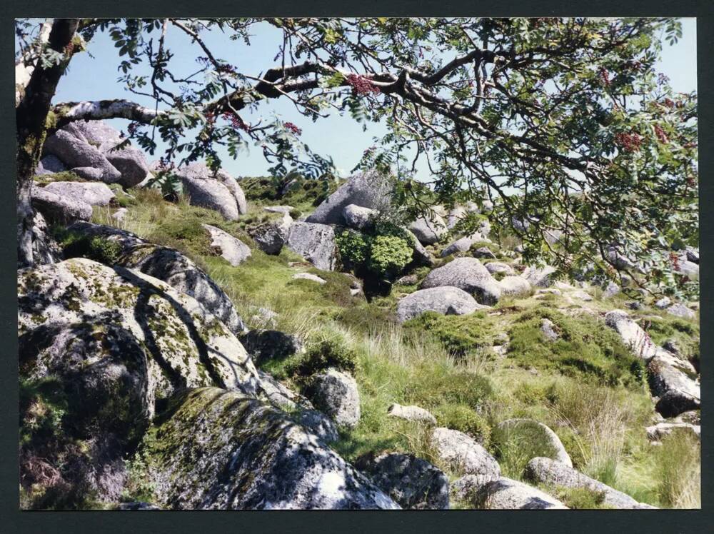 An image from the Dartmoor Trust Archive