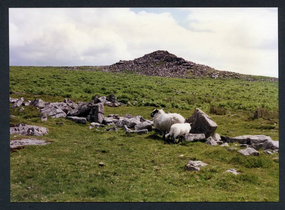 An image from the Dartmoor Trust Archive