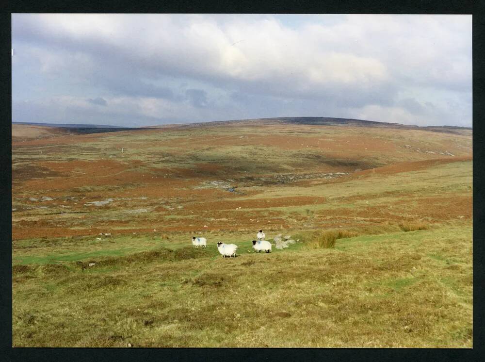 An image from the Dartmoor Trust Archive