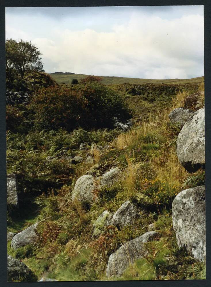 An image from the Dartmoor Trust Archive