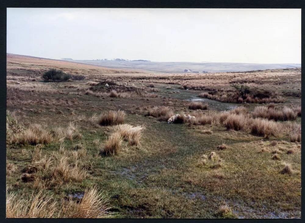 An image from the Dartmoor Trust Archive