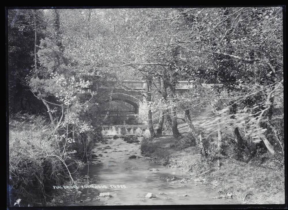 Pial Bridge, Cornwood