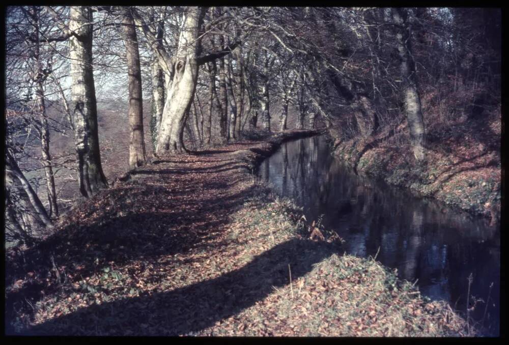 Tavistock Canal