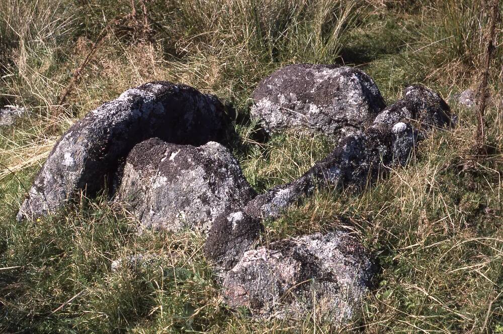 An image from the Dartmoor Trust Archive