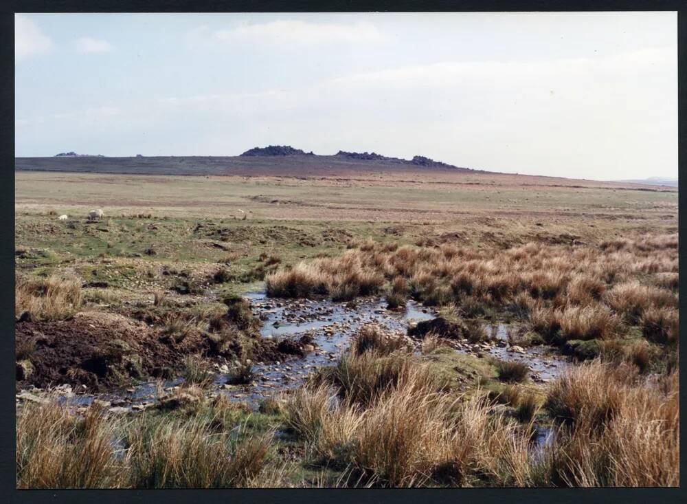 An image from the Dartmoor Trust Archive