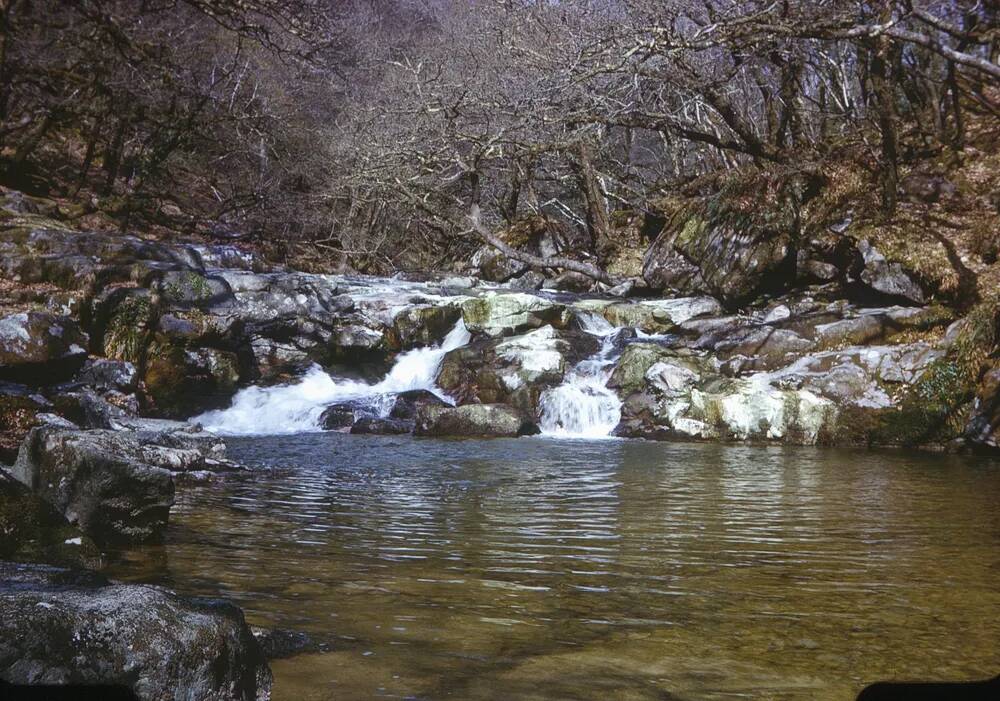 An image from the Dartmoor Trust Archive