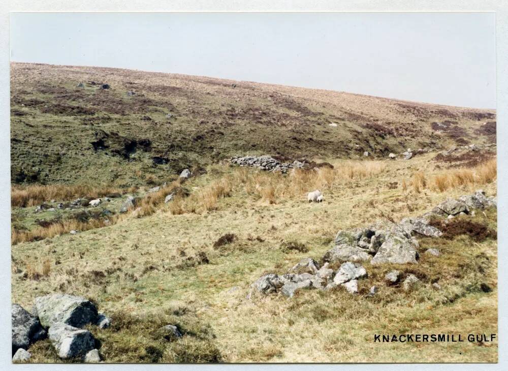 An image from the Dartmoor Trust Archive