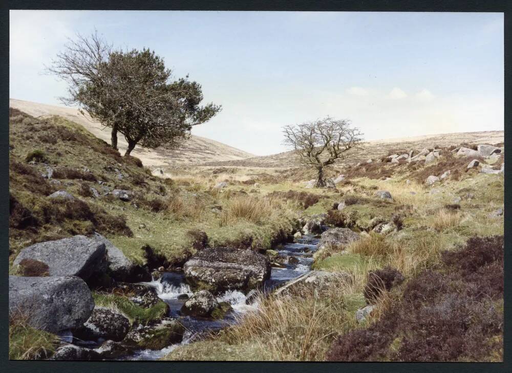 An image from the Dartmoor Trust Archive