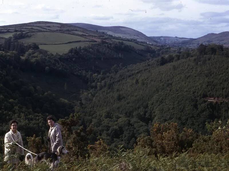 An image from the Dartmoor Trust Archive