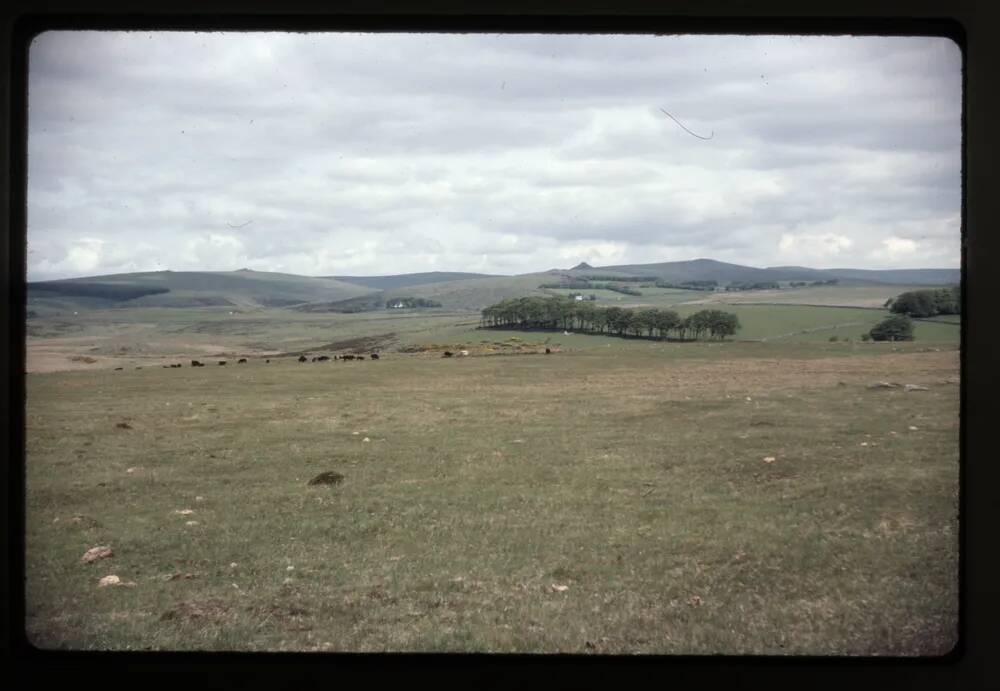 View North from Royal Hill