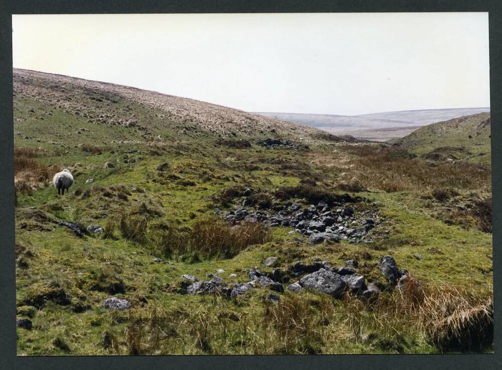 An image from the Dartmoor Trust Archive