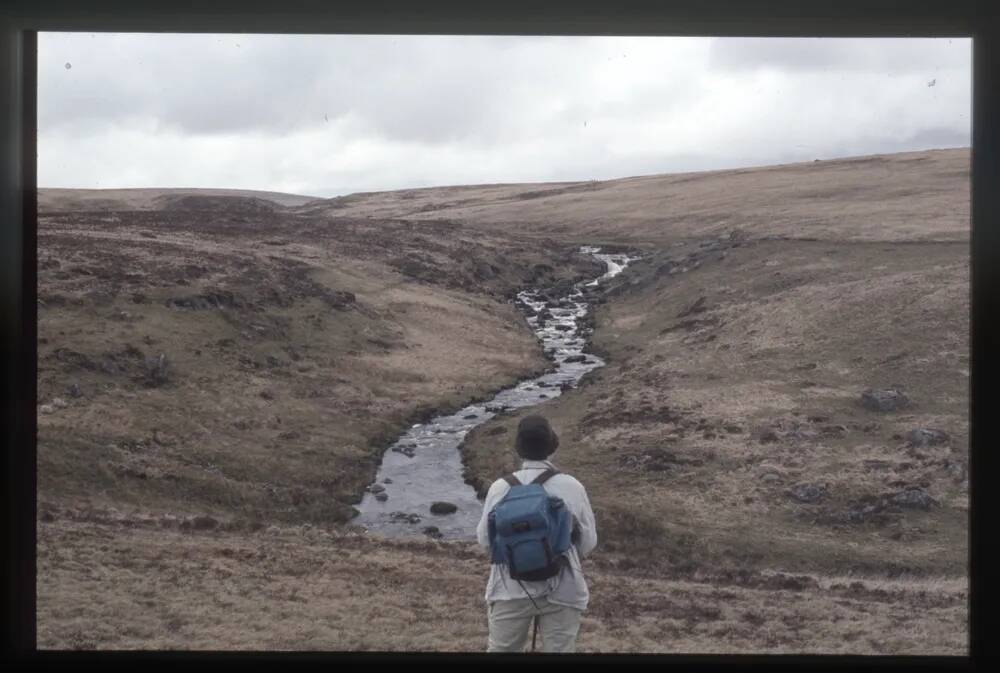 East Dart. waterfall