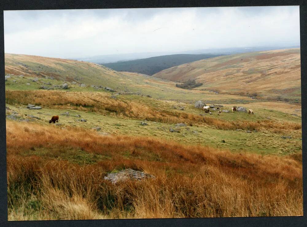 An image from the Dartmoor Trust Archive