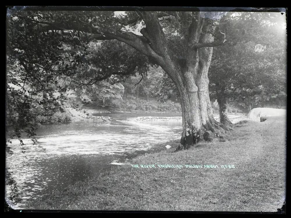 Endsleigh: The River, Milton Abbot