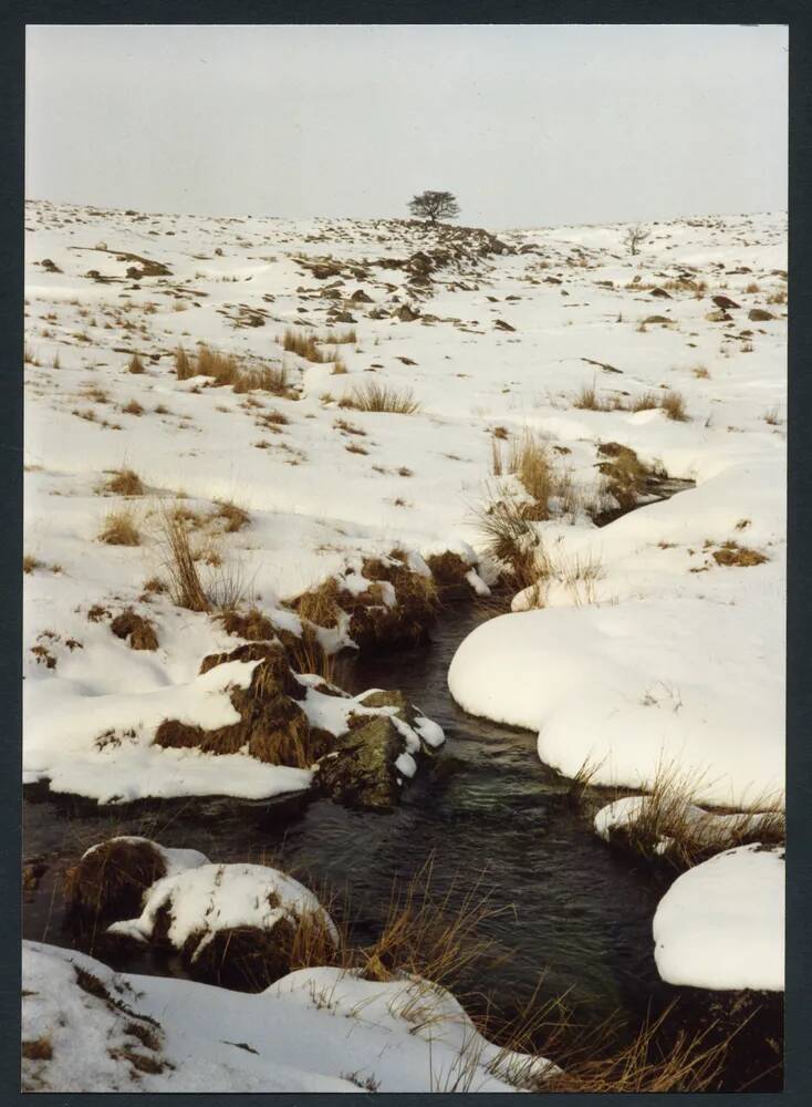 An image from the Dartmoor Trust Archive