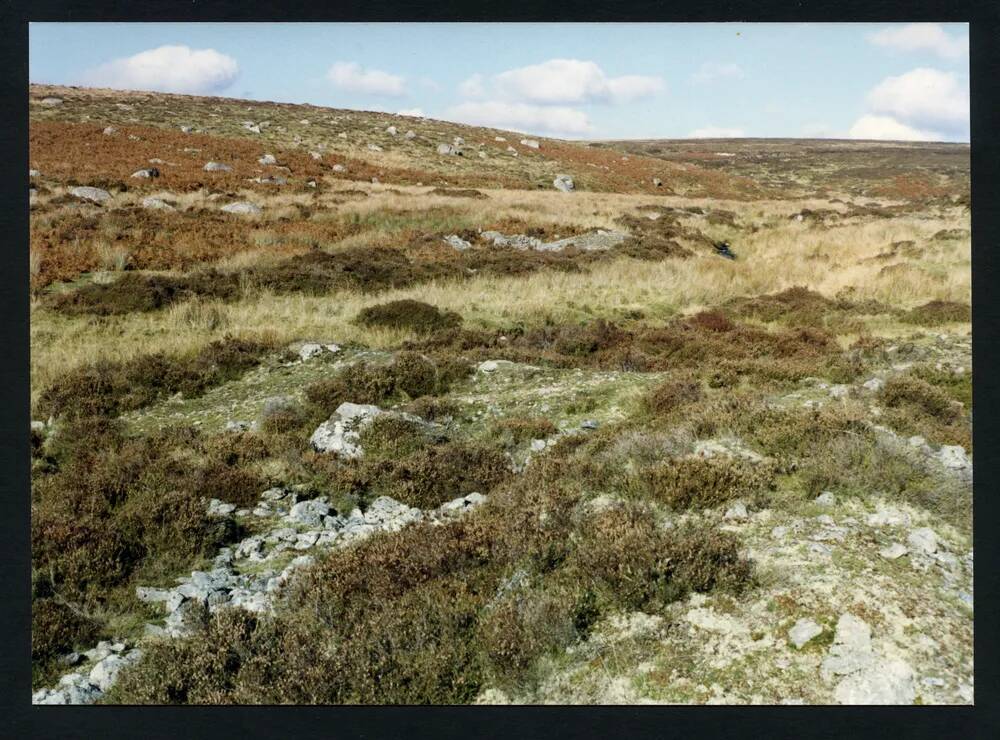 An image from the Dartmoor Trust Archive