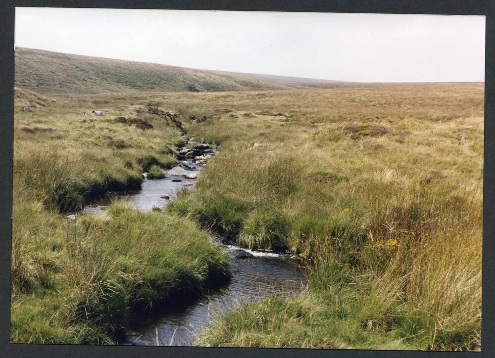 An image from the Dartmoor Trust Archive