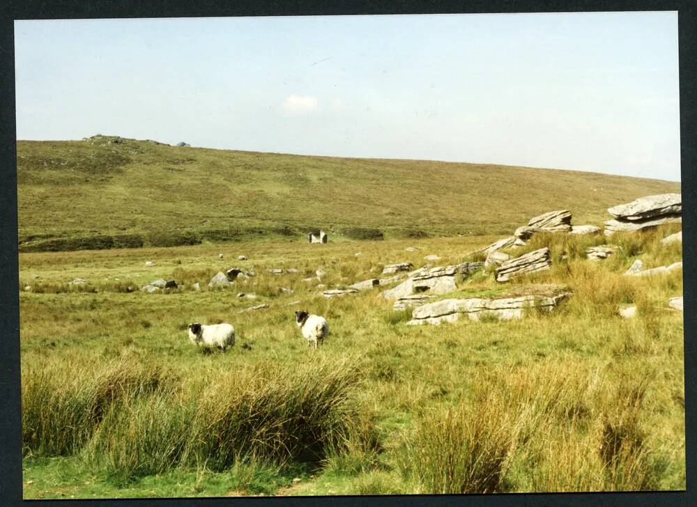 An image from the Dartmoor Trust Archive