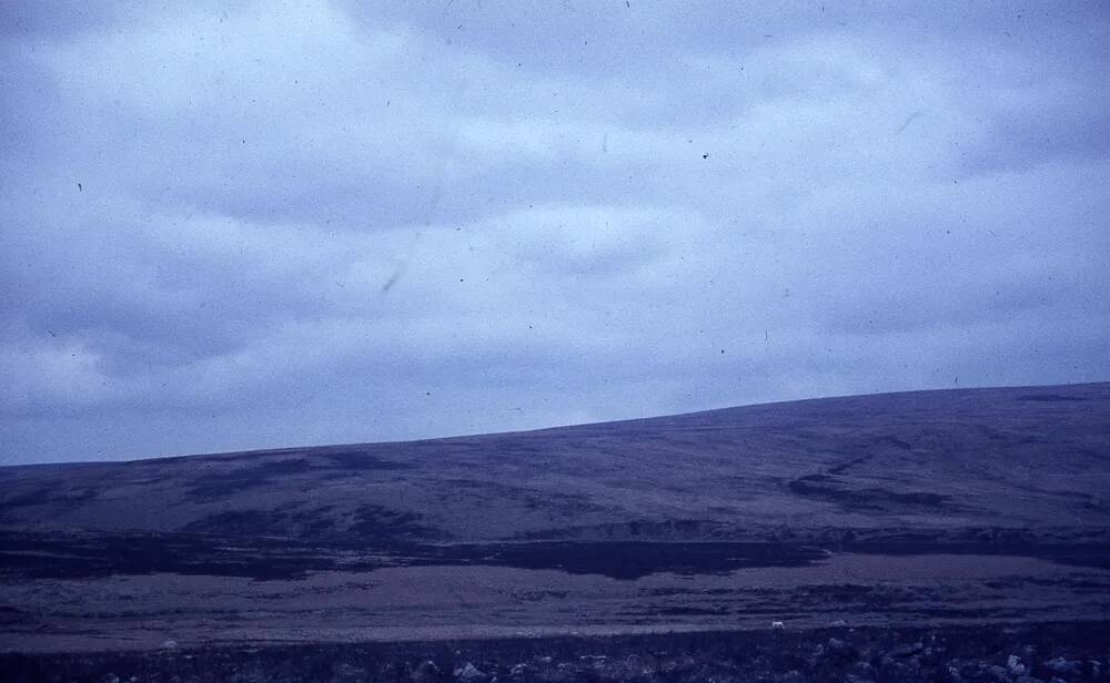 An image from the Dartmoor Trust Archive