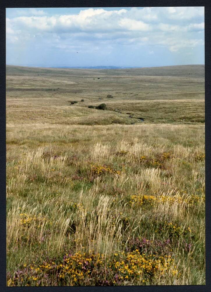 An image from the Dartmoor Trust Archive