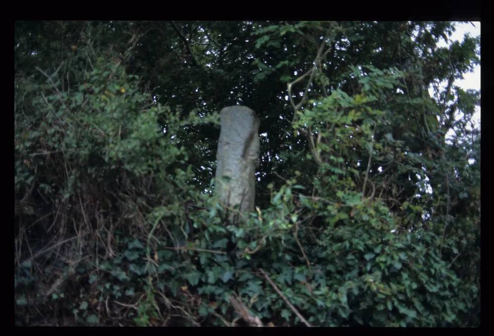 Cross near Dunsford